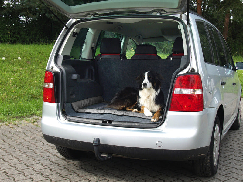 Camp4 Outdoor-Decke für Hunde ABBY