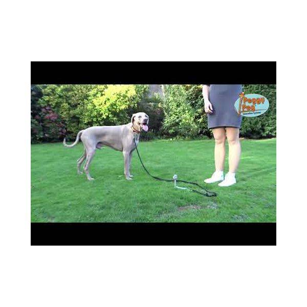 Peggy Peg Dog Peg – Ground Anchor for Pets