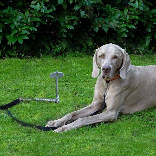 Peggy Peg Dog Peg – Ground Anchor for Pets