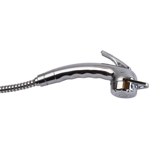 Reich Charisma Adjustable Shower Head With Hose