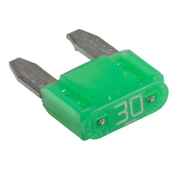 Clesana Sicherung 30 A für C1 (Leiterplatte)