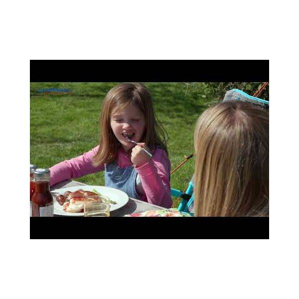 Campingaz Party Grill 400 CV